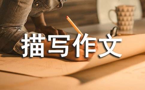 �������茑����5ƪ�����ã�