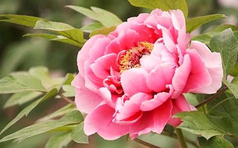 ��ĵ��ͤ���x�������