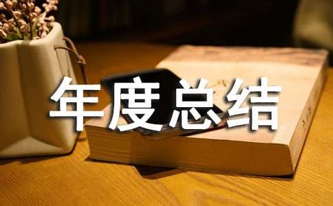 年度總結(jié)范文