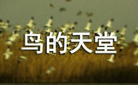 С�W�Z���n�ġ��B�����á���(y��u)���f�n�OӋ