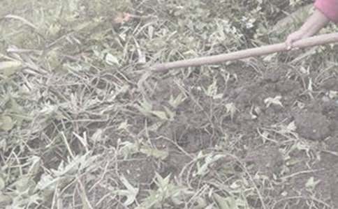 ���r(n��ng)������