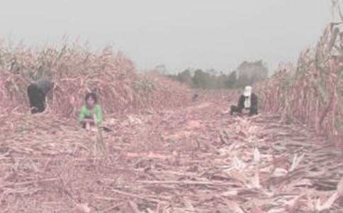 ���r(n��ng)������500��