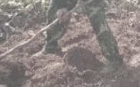 ���r(n��ng)������