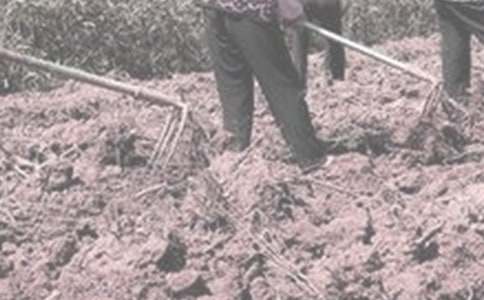 ���r(n��ng)�����ģ����x23ƪ��