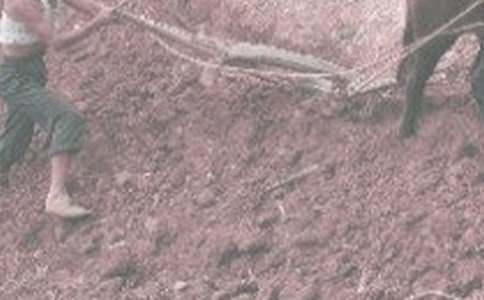 ���r(n��ng)������400��