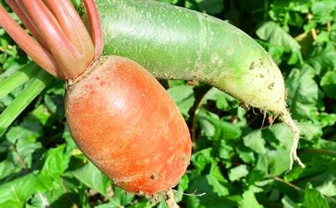 �r(n��ng)�Ҙ���Ц����