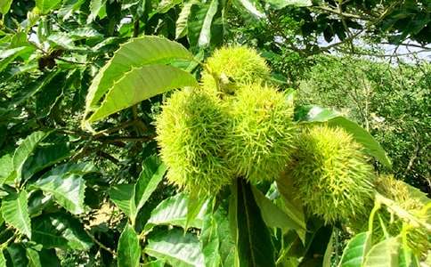 �w�(y��n)�r(n��ng)�Ҙ�(l��)����