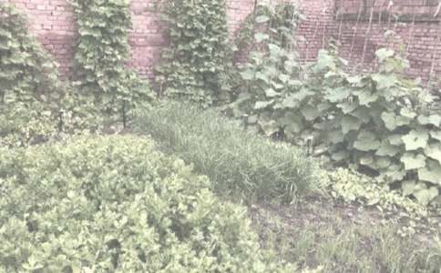 �P(gu��n)���r(n��ng)����N��ͬ���ļ��\8ƪ