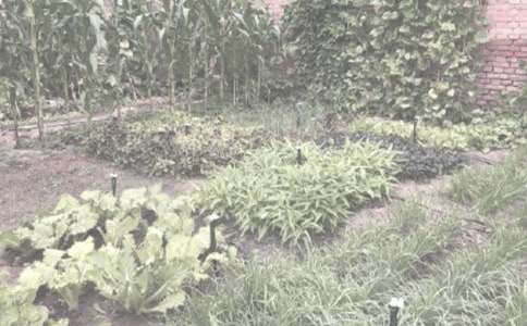 �r(n��ng)����N��ͬ����9ƪ