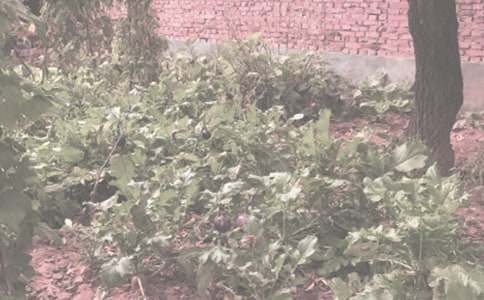 �����x���r(n��ng)����N��ͬ3ƪ