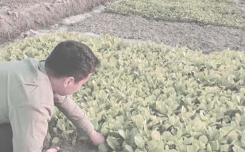 �P(gu��n)���r(n��ng)����N��ͬ���\9ƪ