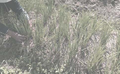 ��(sh��)�õ��r(n��ng)����N��ͬ��ƪ