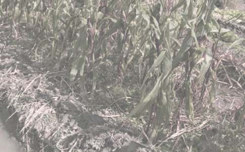 �r(n��ng)����N��ُ�I��ͬ5ƪ