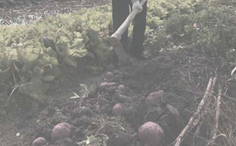 �H�ӻ��(d��ng)�r(n��ng)����С������������