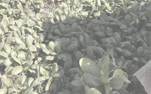 �F�����r(n��ng)������ʲôΣ��