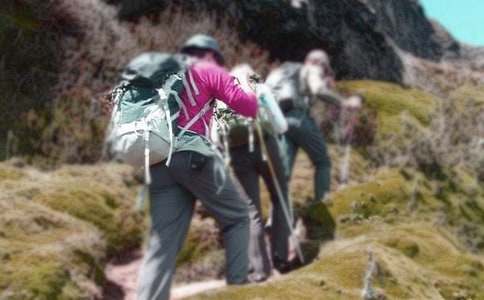 ����Ƭ�G�G����ɽ�����̌W(xu��)�O(sh��)Ӌ(��(y��u)�x15ƪ)