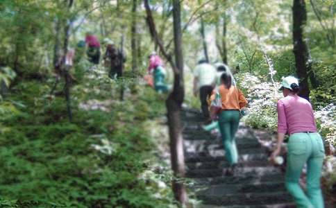 �P(gu��n)�ڡ���Ƭ�G�G����ɽ�����̲�����