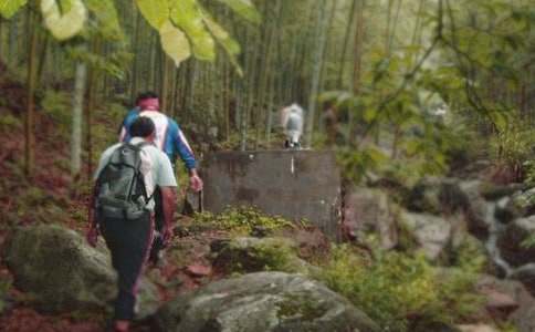 ��ɽ�Ę�Ȥ400������