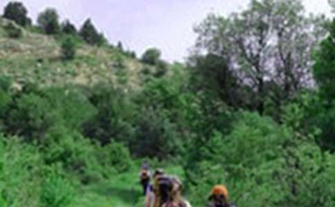 ����Ƭ�G�G����ɽ�����x���