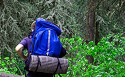 ����ɽ�����_���x���