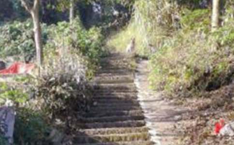 ��ɽ�Ę�(l��)Ȥ����500��