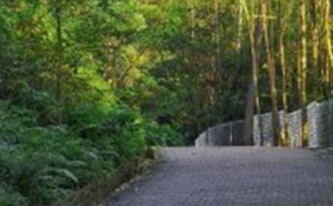 ��ɽ�Ę�Ȥ���}Ŀ������