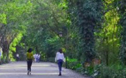 ��ɽ�����_�̌W(xu��)�O(sh��)Ӌ(j��)(�ϼ�15ƪ)