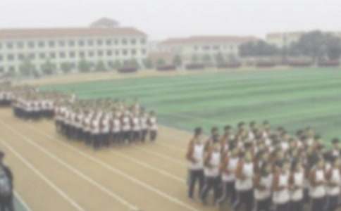 �P���ܲٵ����ģ����x31ƪ��