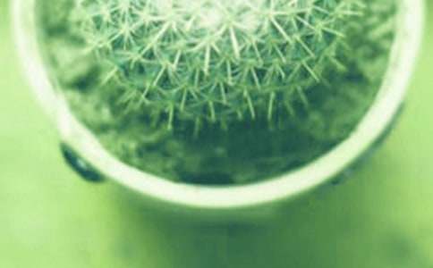 �����F����B(y��ng)ֳ����