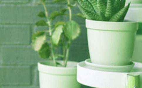 �P�����Բ軨���B(y��ng)ֳ������ע�����