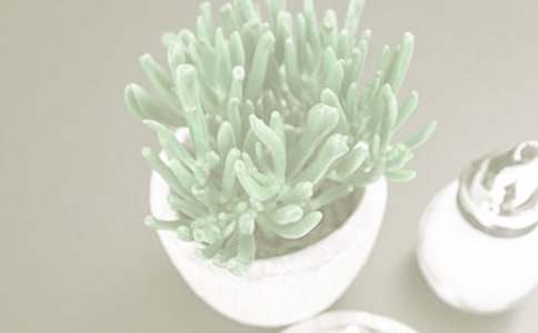 ���Ժ��Ę���B(y��ng)ֳ����