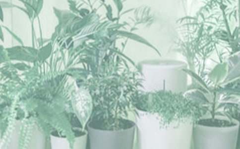 ��(chu��ng)�����Դ���ֹ������̰�