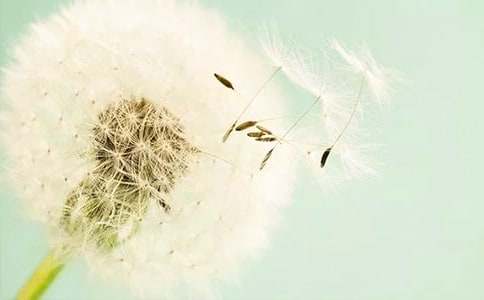 �����x���ѹ�Ӣ������