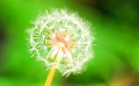 ����(sh��)�á��ѹ�Ӣ������4ƪ