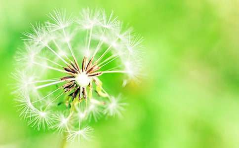 ���]���ѹ�Ӣ����