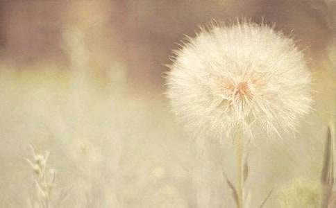 �ѹ�Ӣ�ĉ��̌W(xu��)�O(sh��)Ӌ(j��)