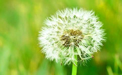 �ѹ�Ӣ����15ƪ