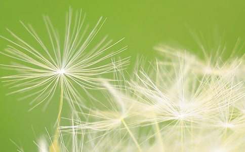 �ѹ�Ӣ�������\����ƪ