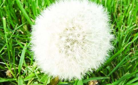 ���ѹ�Ӣ�ķN�ӡ��n��˼