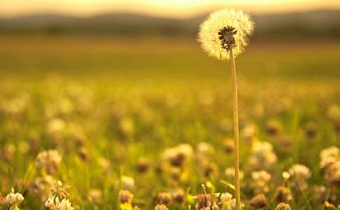 �ѹ�Ӣ���������