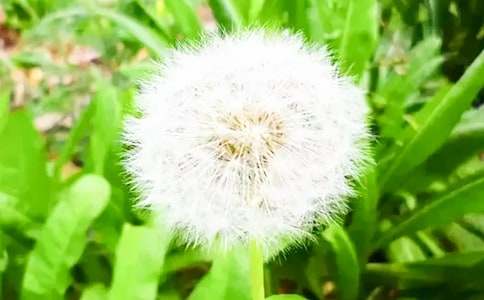 ���ѹ�Ӣ���̌W(xu��)�O(sh��)Ӌ(j��)