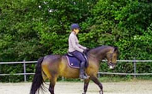 ��һ���T�R���ģ�ͨ��32ƪ��