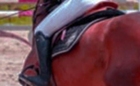 �T�R��(y��u)������