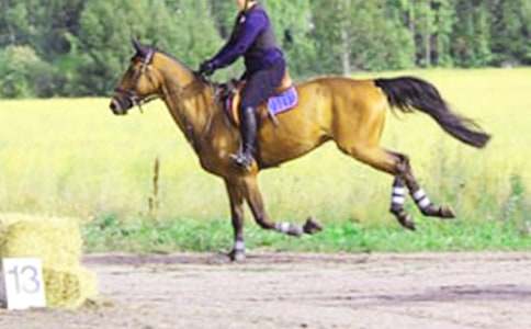 �T�Rӛ����