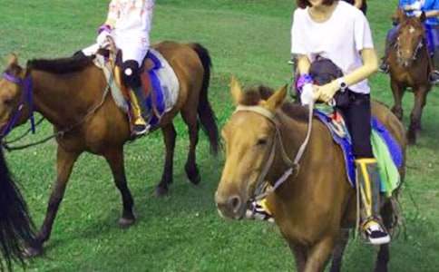 ��һ���T�R�ĸ�������