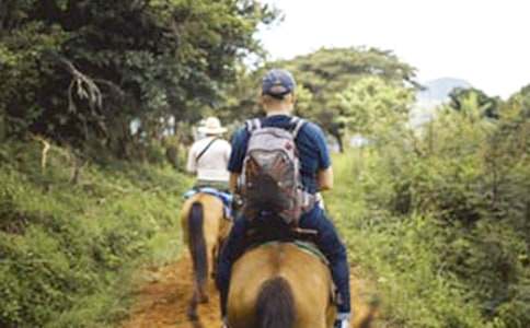 ��һ���T�R