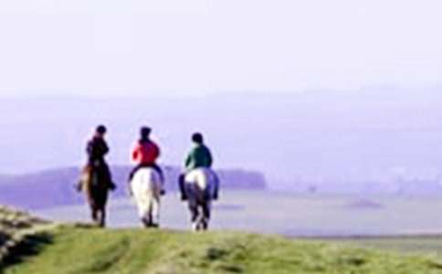 ��һ���T�R���ļ���15ƪ