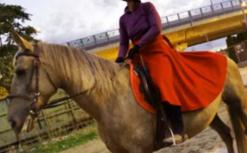 �P(gu��n)�ڵ�һ���T�R����