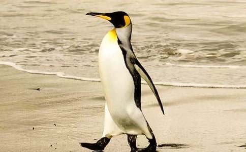 �������Z���^���