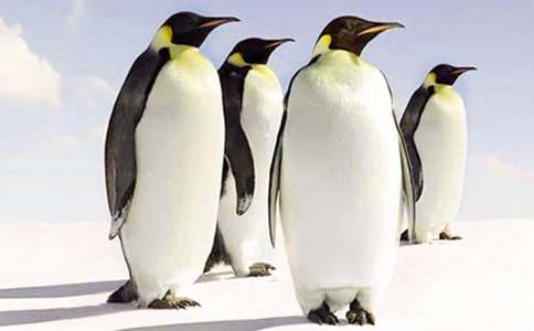 �������Z��ӛ���^���